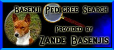 Database, Pedigree Search by Zande Basenjis