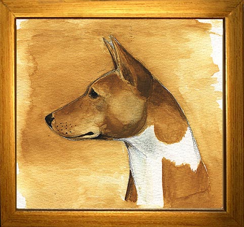 Basenjiprofile by Therese Forslund